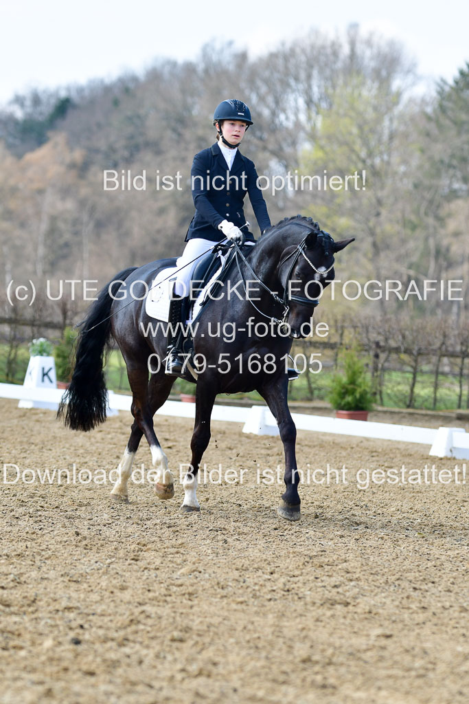 Reitsportzentrum Bremervörde | 10421 Dressur M++_192 