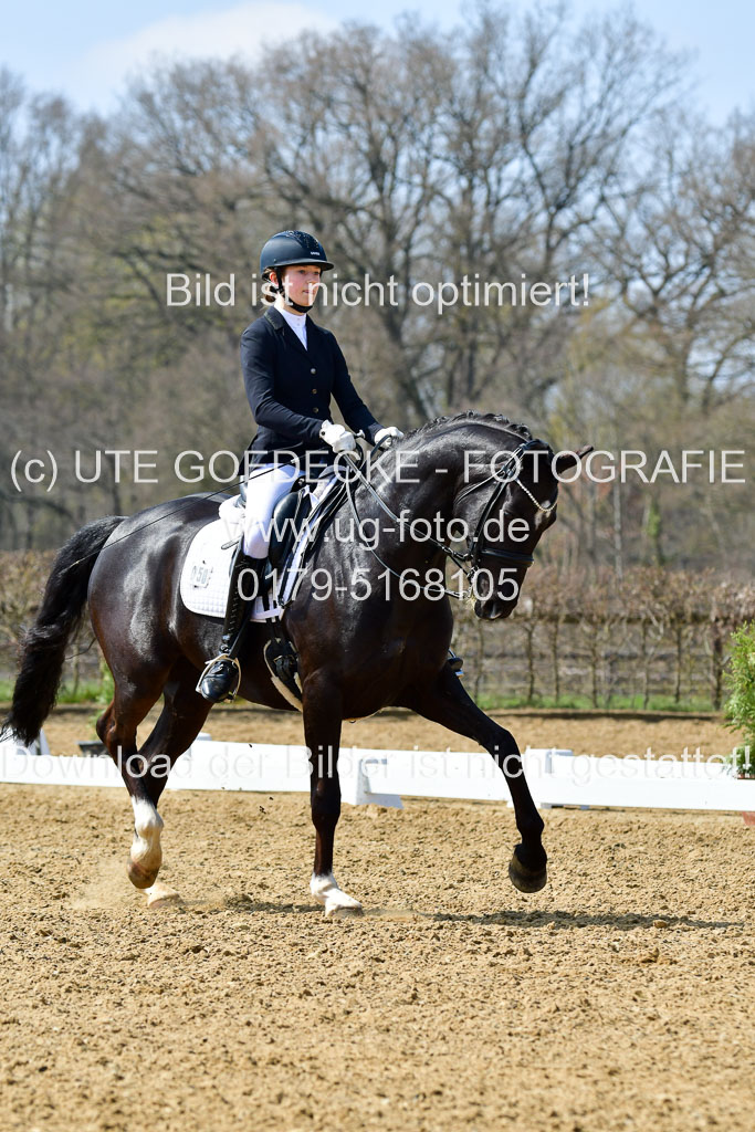 Reitsportzentrum Bremervörde | 10421 Dressur M++_195 