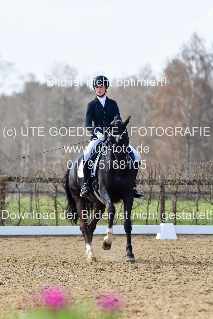 Reitsportzentrum Bremervörde | 10421 Dressur M++_198 