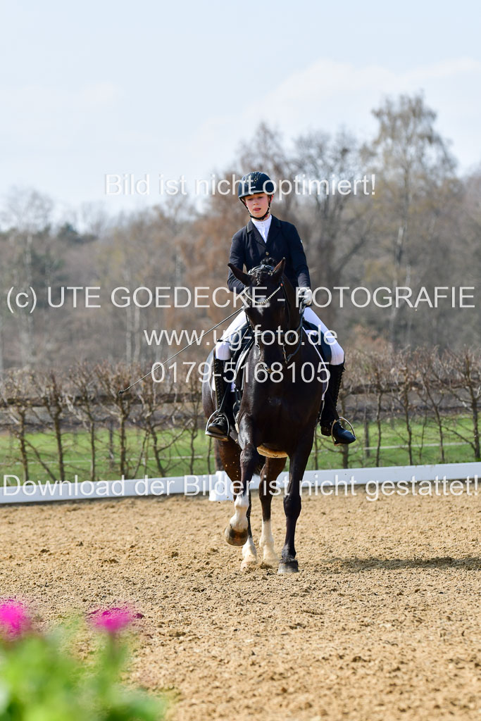 Reitsportzentrum Bremervörde | 10421 Dressur M++_199 