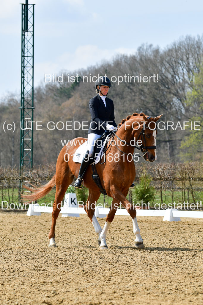 Reitsportzentrum Bremervörde | 10421 Dressur M++_209 