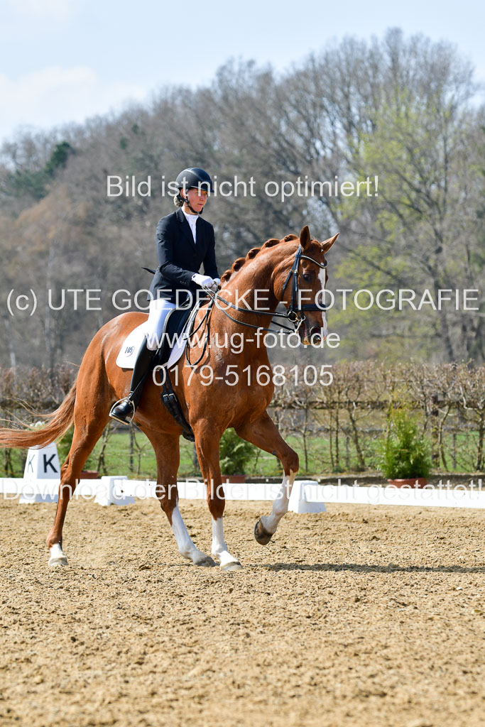 Reitsportzentrum Bremervörde | 10421 Dressur M++_211 