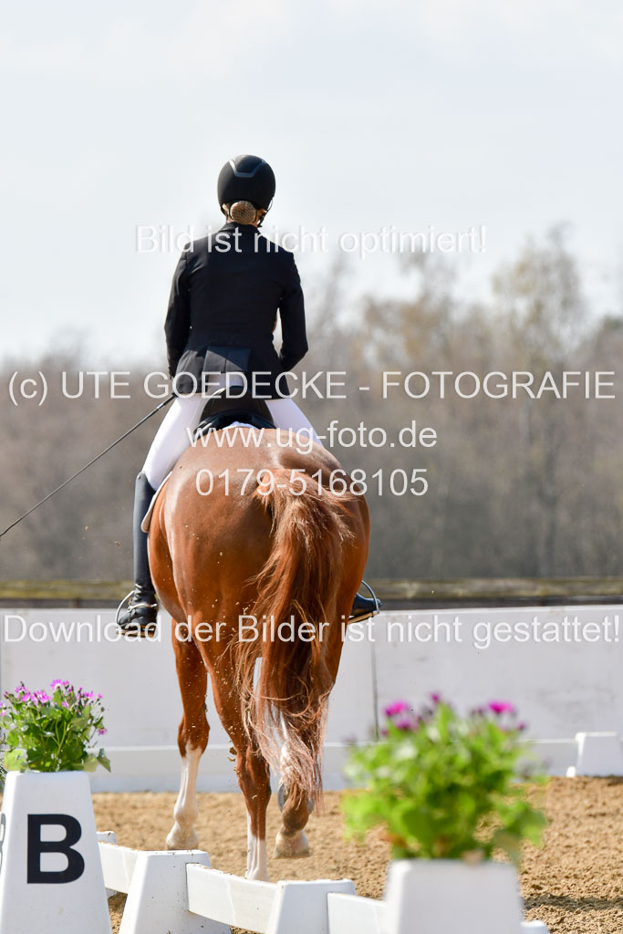 Reitsportzentrum Bremervörde | 10421 Dressur M++_214 