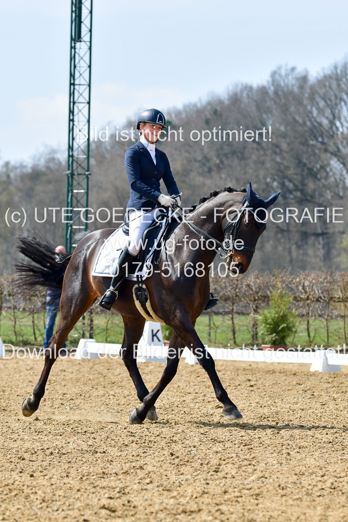 Reitsportzentrum Bremervörde | 10421 Dressur M++_223 