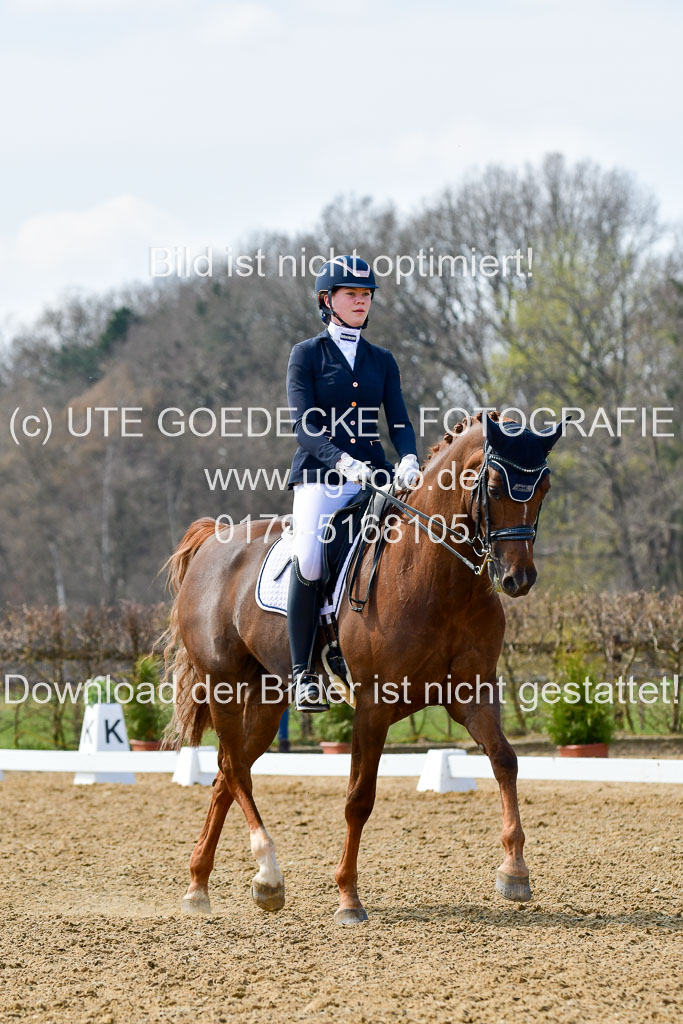Reitsportzentrum Bremervörde | 10421 Dressur M++_234 