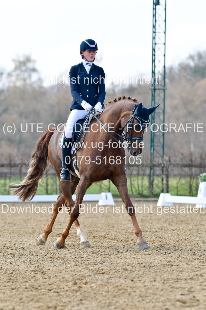 Reitsportzentrum Bremervörde | 10421 Dressur M++_238 