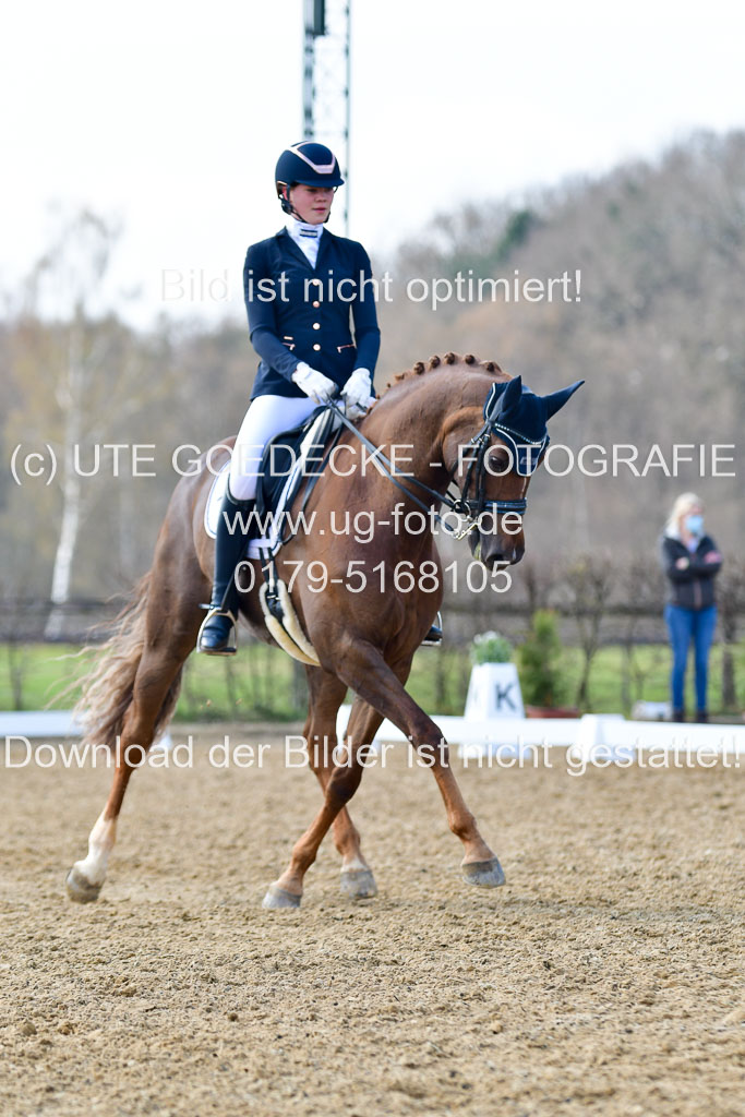 Reitsportzentrum Bremervörde | 10421 Dressur M++_239 