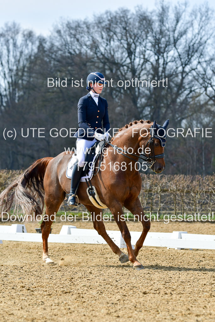 Reitsportzentrum Bremervörde | 10421 Dressur M++_242 