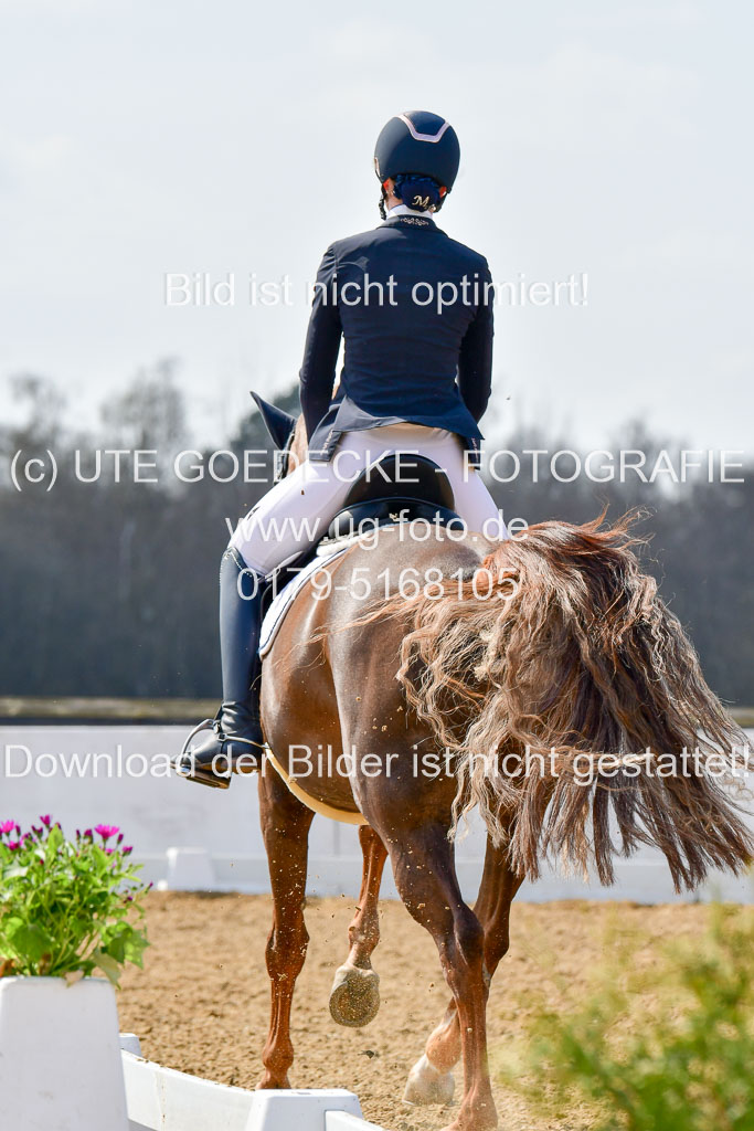 Reitsportzentrum Bremervörde | 10421 Dressur M++_243 