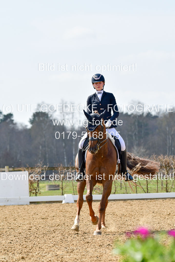 Reitsportzentrum Bremervörde | 10421 Dressur M++_245 