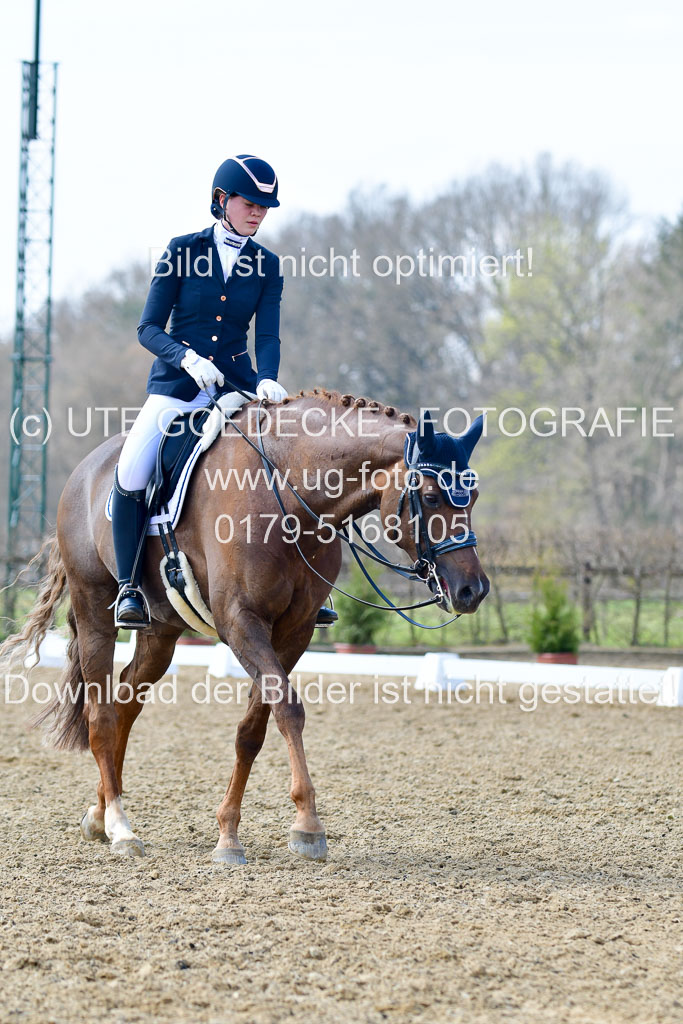 Reitsportzentrum Bremervörde | 10421 Dressur M++_246 