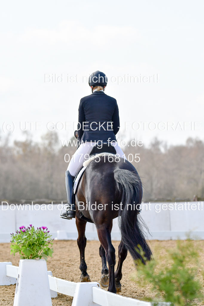 Reitsportzentrum Bremervörde | 10421 Dressur M++_247 