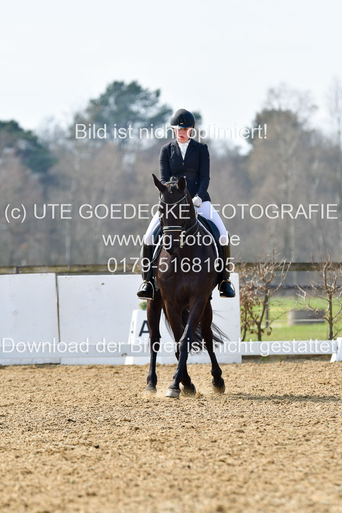 Reitsportzentrum Bremervörde | 10421 Dressur M++_253 