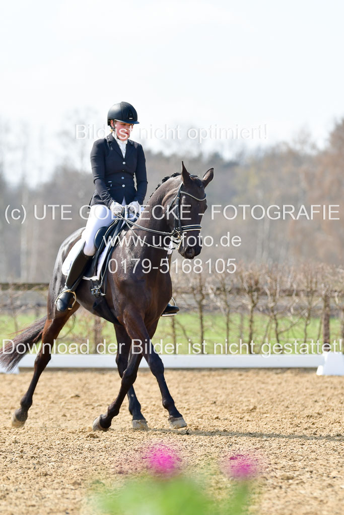 Reitsportzentrum Bremervörde | 10421 Dressur M++_255 