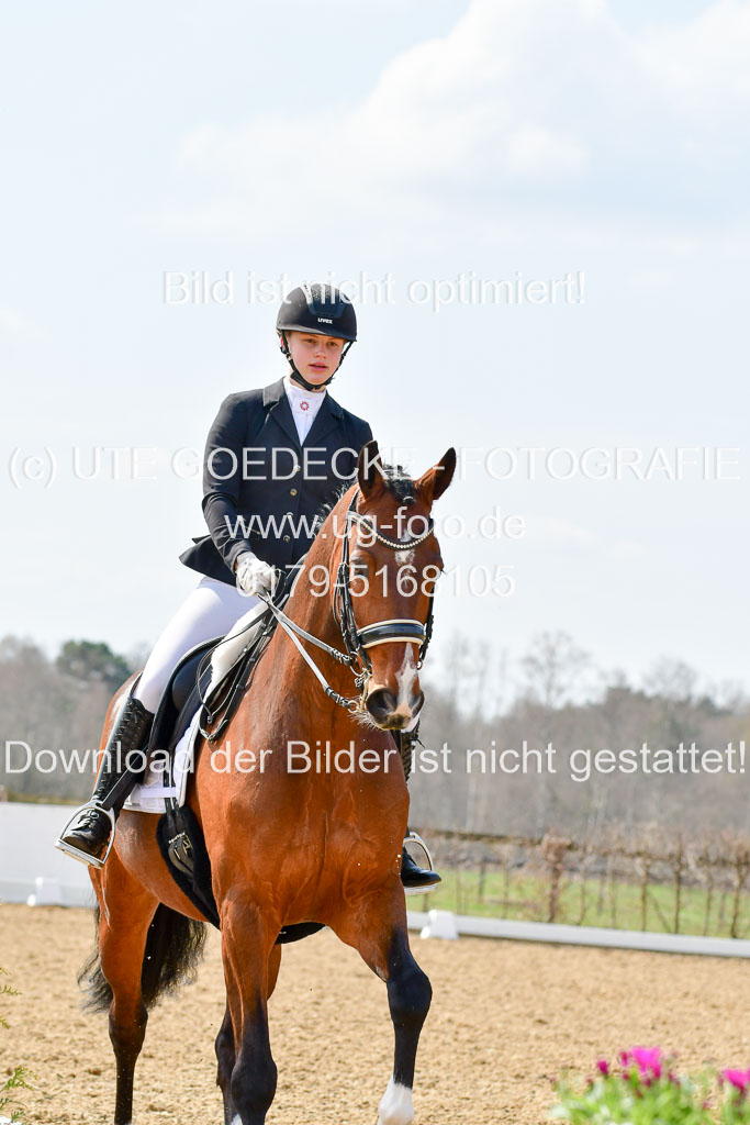 Reitsportzentrum Bremervörde | 10421 Dressur M++_264 