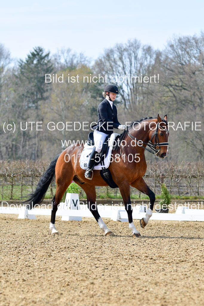 Reitsportzentrum Bremervörde | 10421 Dressur M++_273 