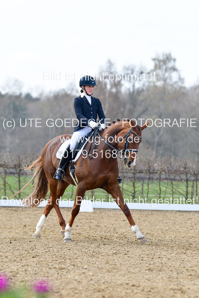 Reitsportzentrum Bremervörde | 10421 Dressur M++_288