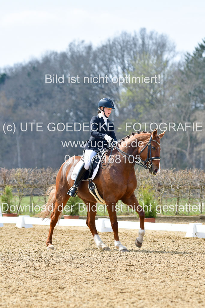 Reitsportzentrum Bremervörde | 10421 Dressur M++_289 
