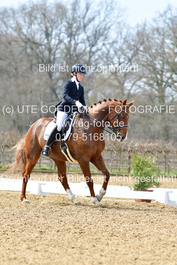 Reitsportzentrum Bremervörde | 10421 Dressur M++_290 