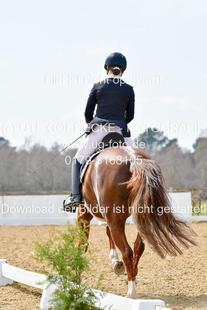 Reitsportzentrum Bremervörde | 10421 Dressur M++_291 
