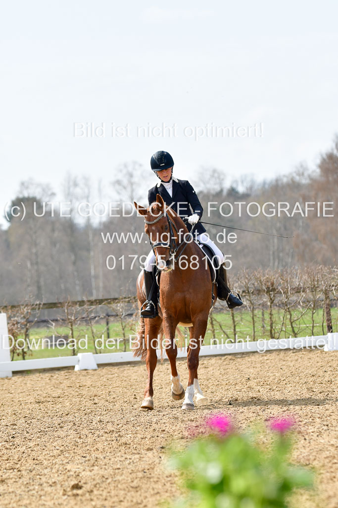 Reitsportzentrum Bremervörde | 10421 Dressur M++_292 