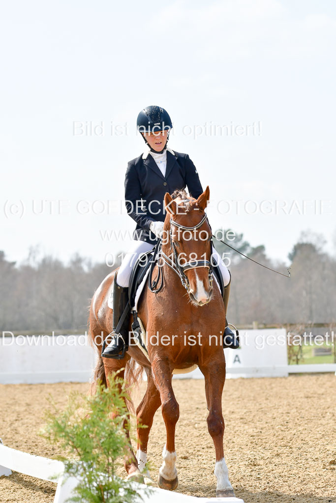 Reitsportzentrum Bremervörde | 10421 Dressur M++_293