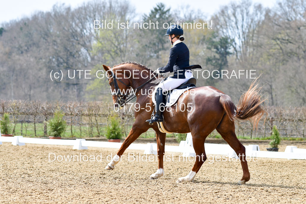 Reitsportzentrum Bremervörde | 10421 Dressur M++_294
