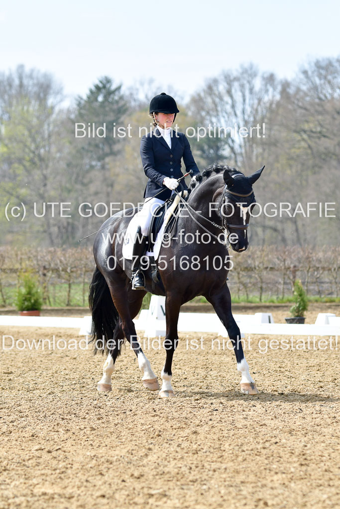 Reitsportzentrum Bremervörde | 10421 Dressur M++_299
