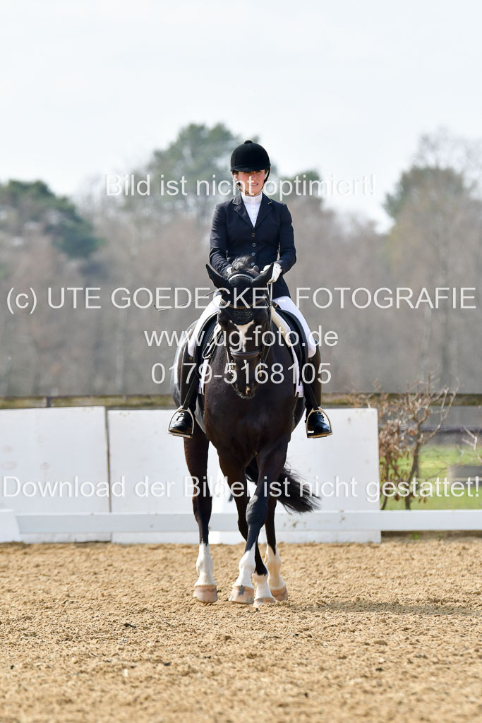 Reitsportzentrum Bremervörde | 10421 Dressur M++_301