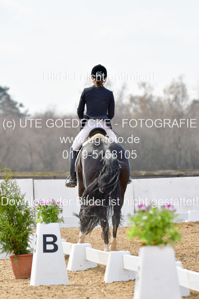 Reitsportzentrum Bremervörde | 10421 Dressur M++_308
