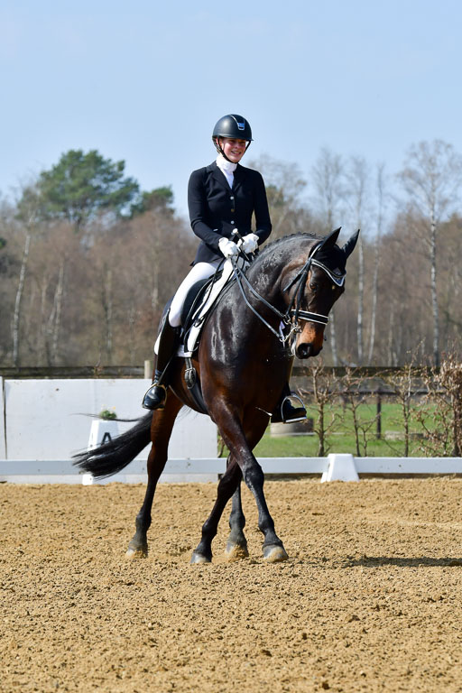 Reitsportzentrum Bremervörde | 10421 Dressur M++_002 