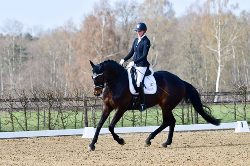Reitsportzentrum Bremervörde | 10421 Dressur M++_006 