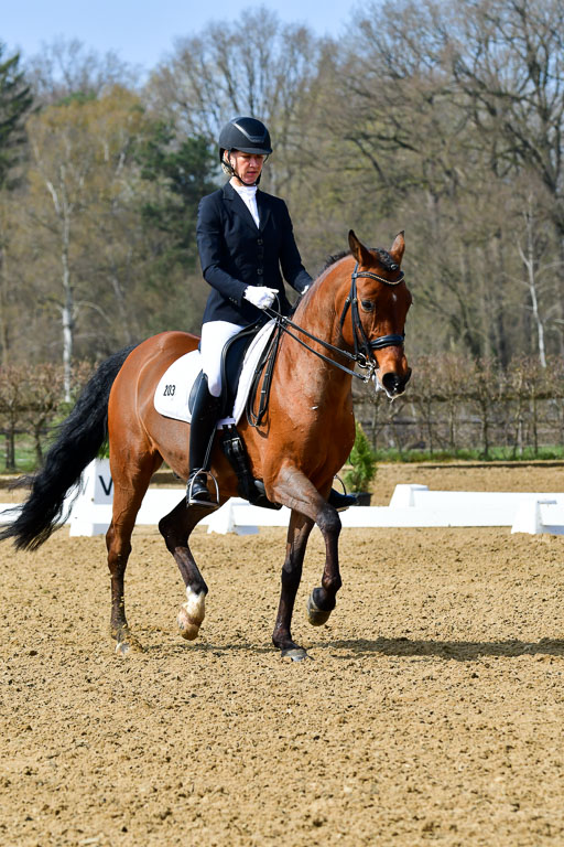 Reitsportzentrum Bremervörde | 10421 Dressur M++_019 