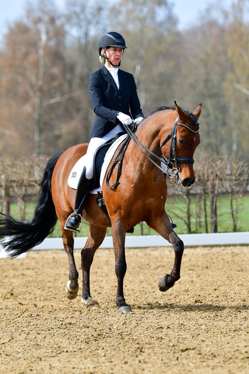 Reitsportzentrum Bremervörde | 10421 Dressur M++_022 