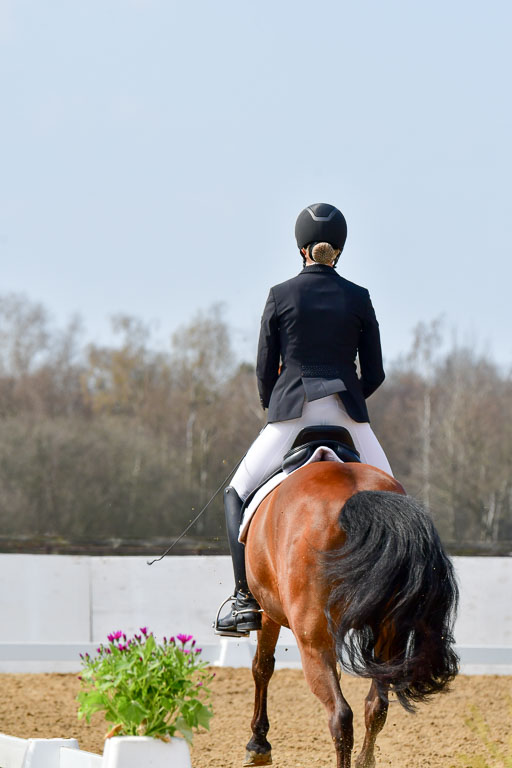 Reitsportzentrum Bremervörde | 10421 Dressur M++_026 