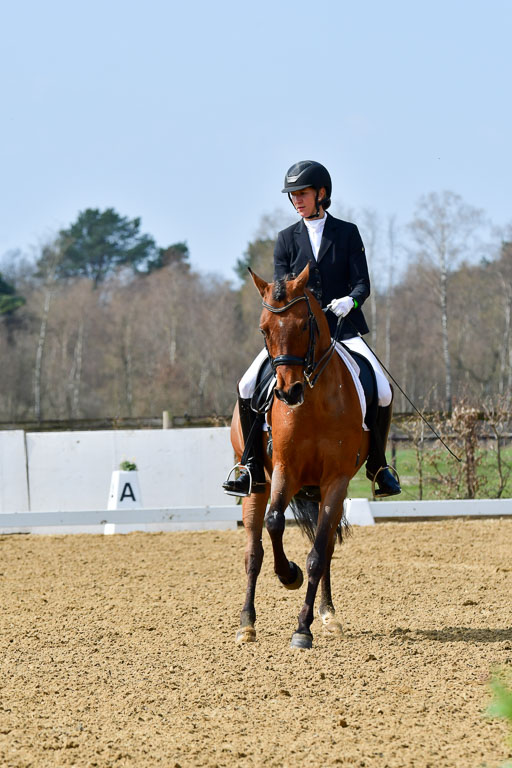 Reitsportzentrum Bremervörde | 10421 Dressur M++_028 