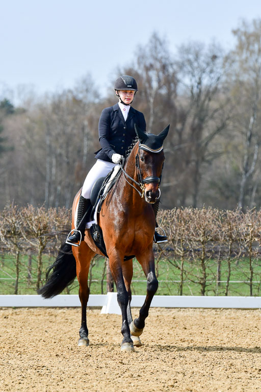 Reitsportzentrum Bremervörde | 10421 Dressur M++_031 