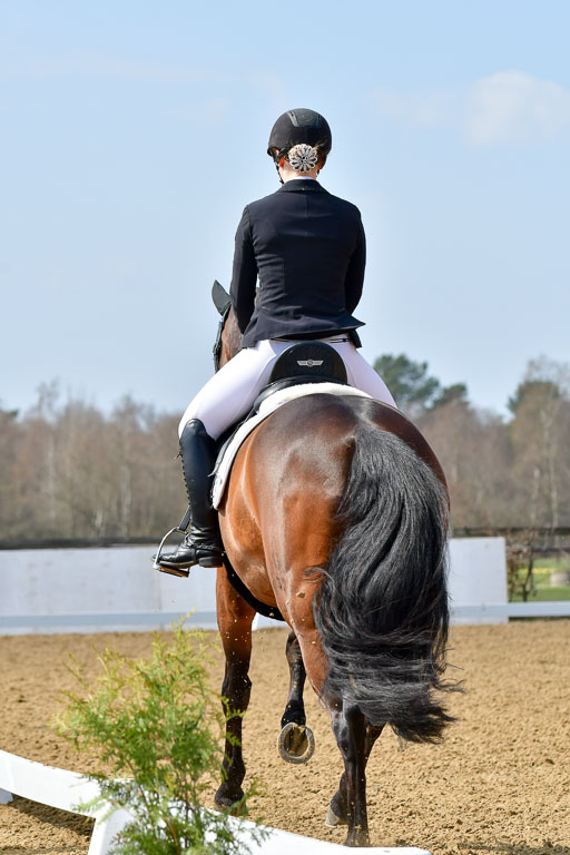 Reitsportzentrum Bremervörde | 10421 Dressur M++_038 