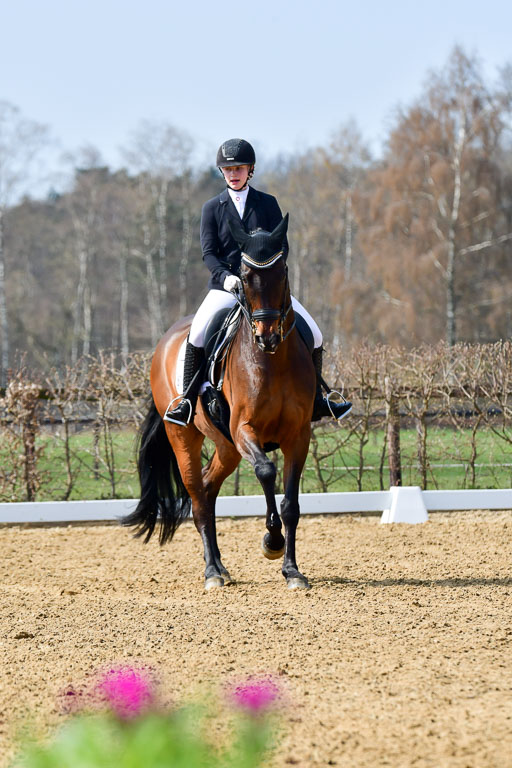 Reitsportzentrum Bremervörde | 10421 Dressur M++_039 