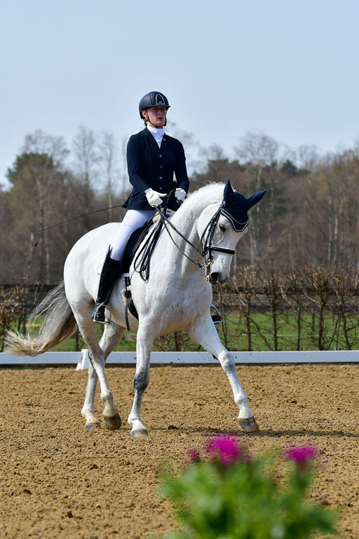 Reitsportzentrum Bremervörde | 10421 Dressur M++_044 