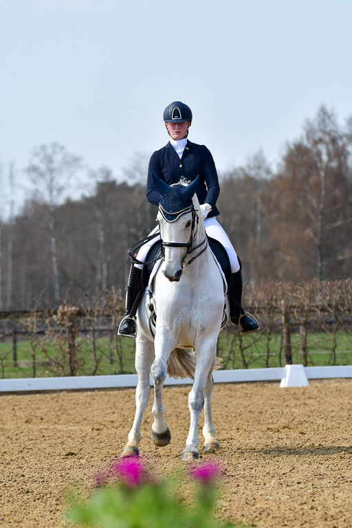 Reitsportzentrum Bremervörde | 10421 Dressur M++_051 