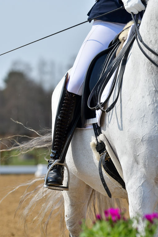 Reitsportzentrum Bremervörde | 10421 Dressur M++_053 