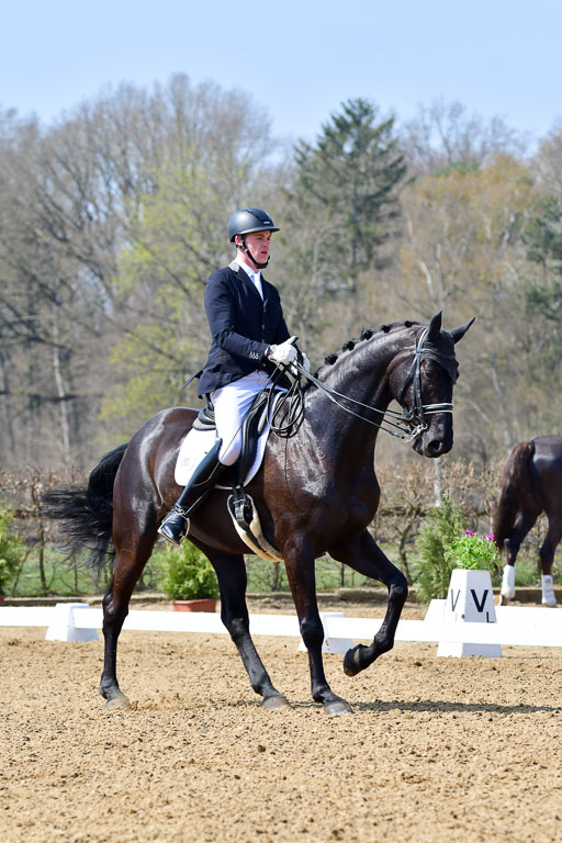 Reitsportzentrum Bremervörde | 10421 Dressur M++_057 