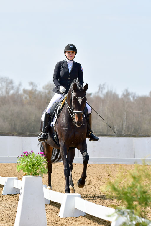 Reitsportzentrum Bremervörde | 10421 Dressur M++_062 