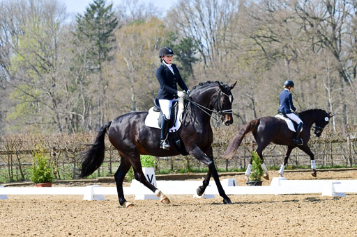 Reitsportzentrum Bremervörde | 10421 Dressur M++_066 