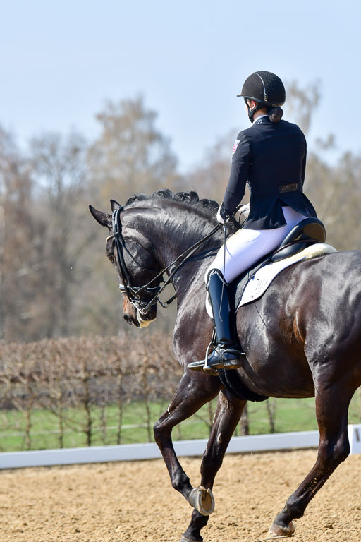 Reitsportzentrum Bremervörde | 10421 Dressur M++_079 