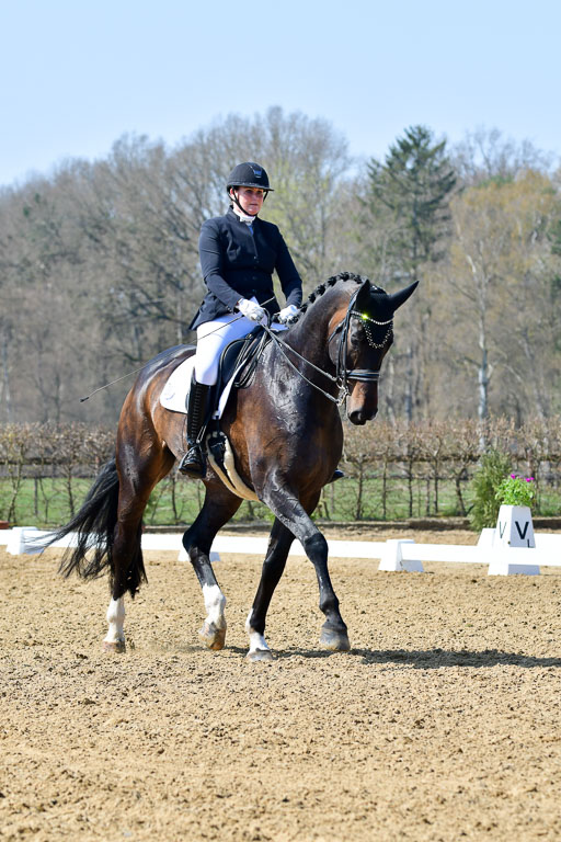 Reitsportzentrum Bremervörde | 10421 Dressur M++_088 