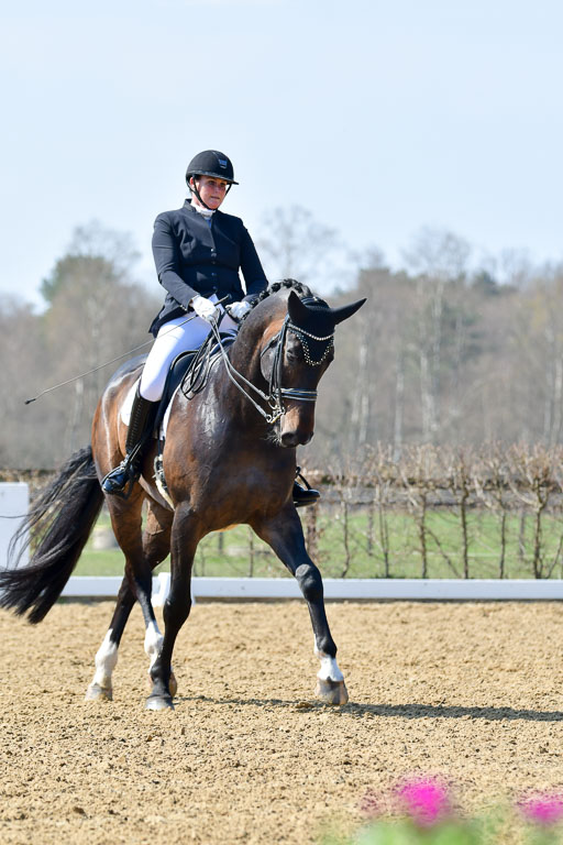 Reitsportzentrum Bremervörde | 10421 Dressur M++_090 