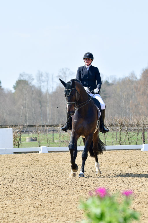 Reitsportzentrum Bremervörde | 10421 Dressur M++_092 