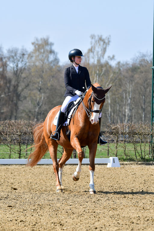 Reitsportzentrum Bremervörde | 10421 Dressur M++_093 